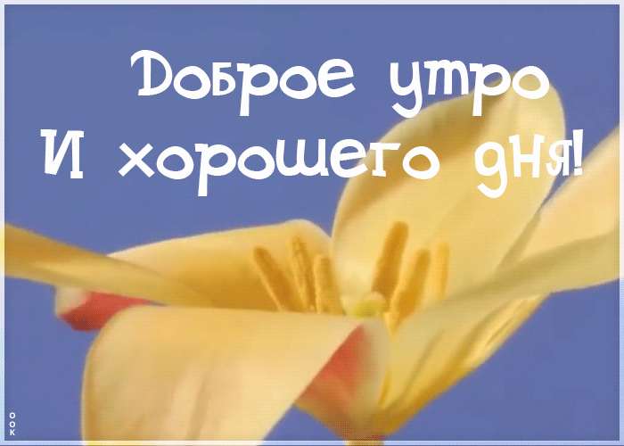 Открытка открытка с добрым утром удачного дня