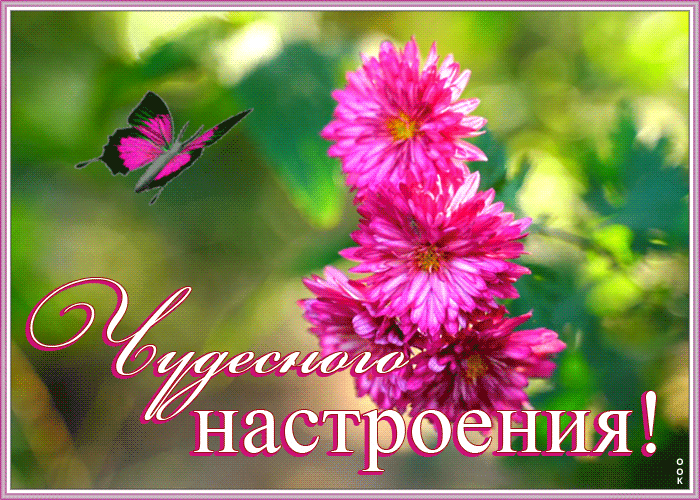 Картинка открытка с пожеланием для друзей