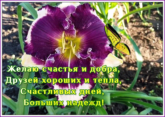 Открытка открытка с пожеланием тепла