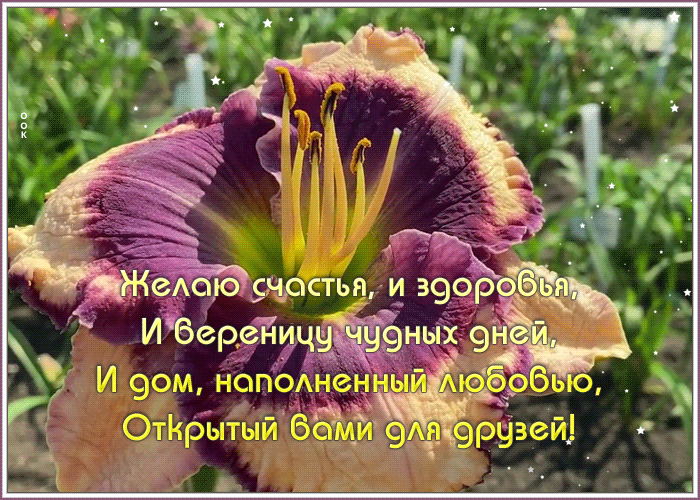 Открытка открытка с пожеланиями другу