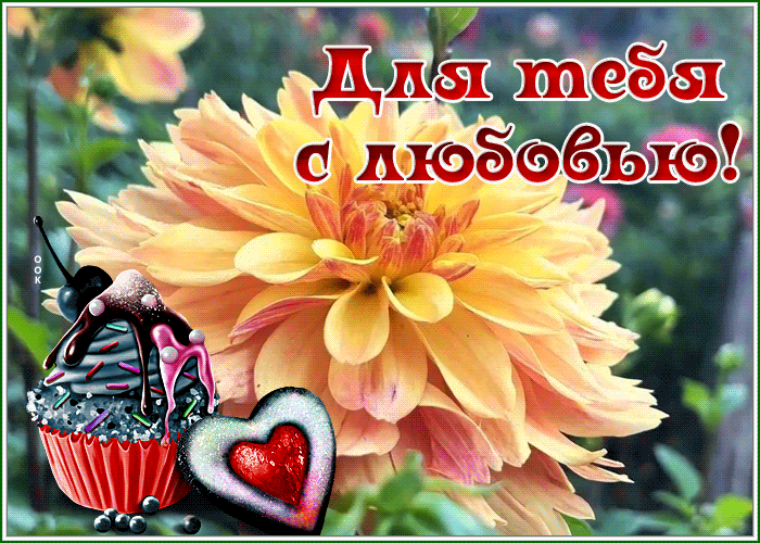 Postcard открытка с прекрасным цветком для тебя с любовью
