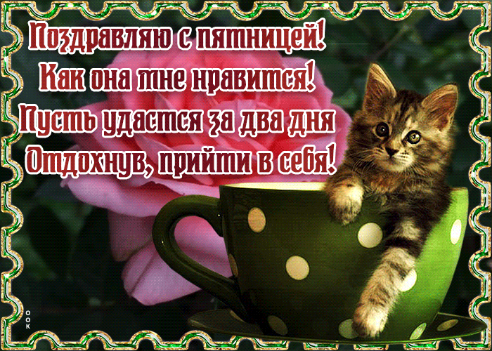 Картинка открытка с пятницей с котиком
