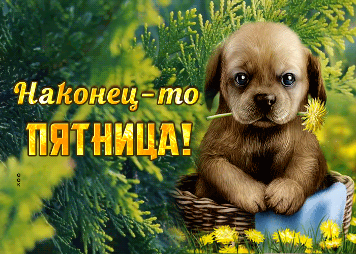 Postcard открытка с собачкой, наконец-то пятница