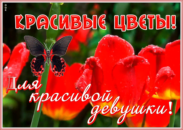 Открытка открытка с цветами для девушки