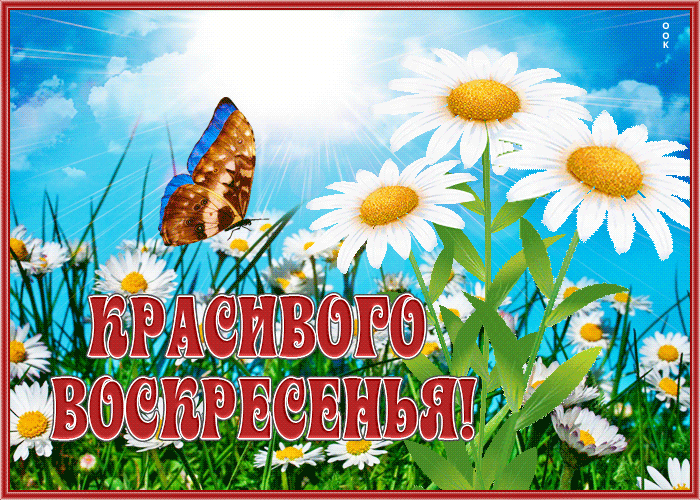 Открытка открытка с воскресеньем с нежными цветами