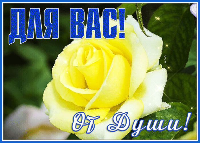 Postcard открытка с желтой розой от души