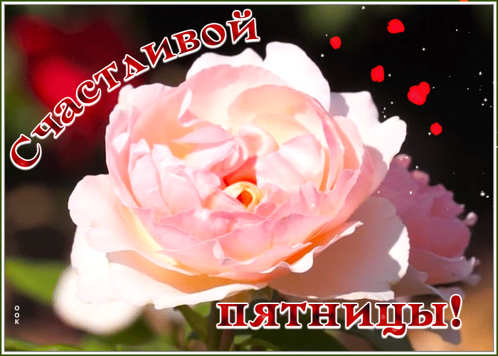 Картинка открытка счастливой пятницы