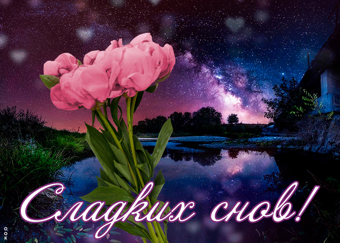 Открытка открытка спокойной ночи ярких снов