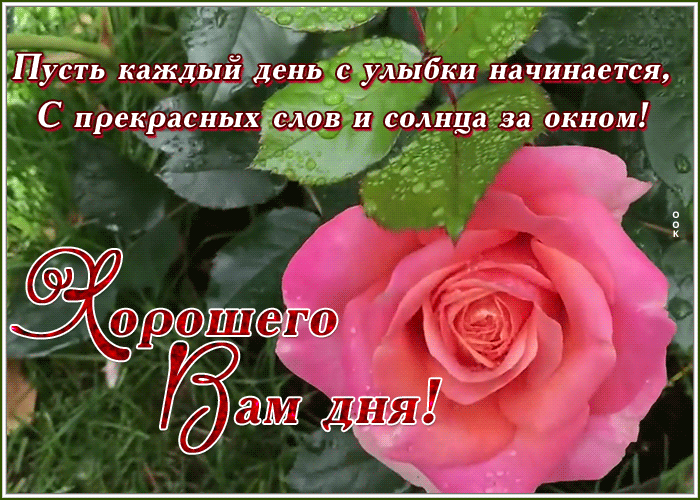 Картинка открытка удачного дня и хорошего настроения