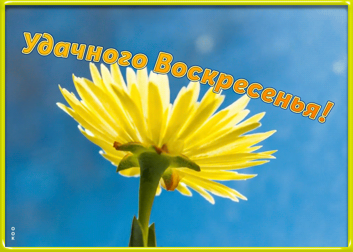 Картинка открытка удачного воскресенья