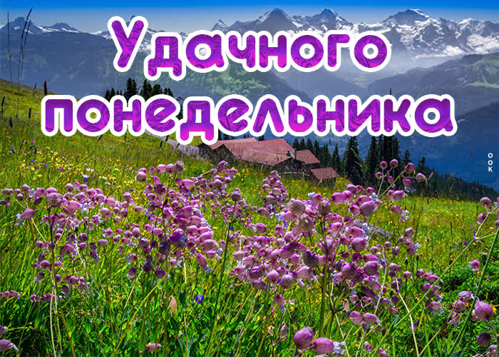 Postcard открытка удачного понедельника с полем цветов