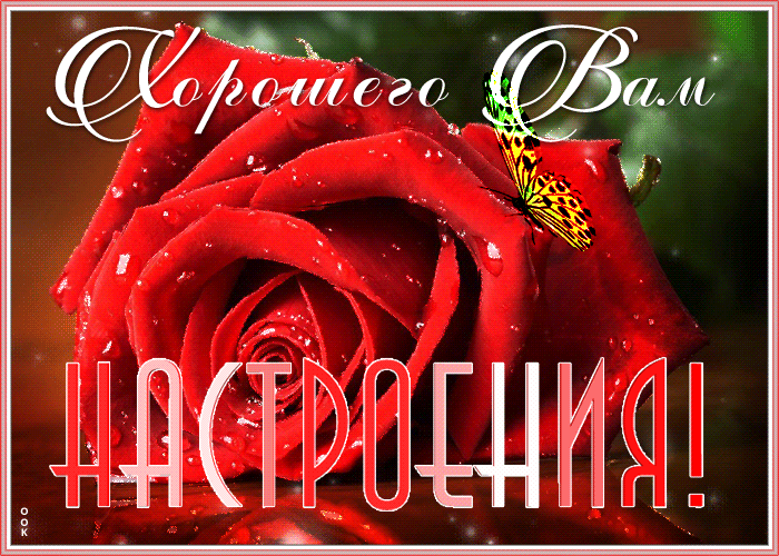 Открытка открытка улыбнись для настроения