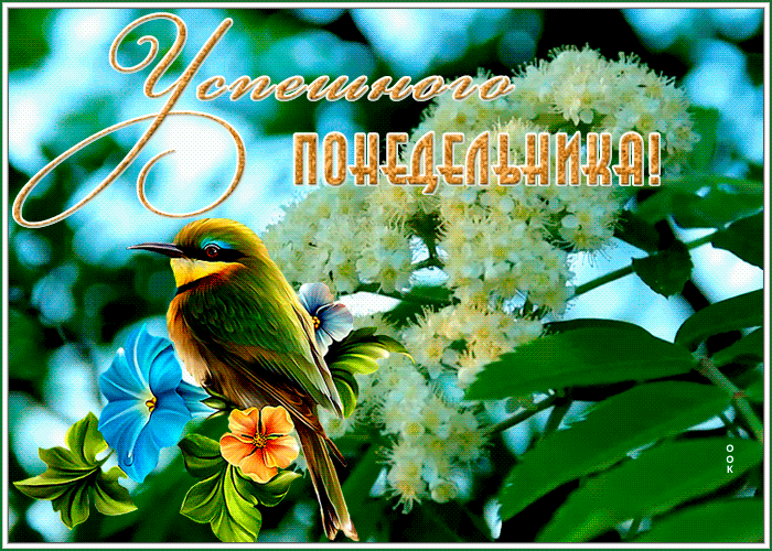 Postcard открытка успешного понедельника с птичкой