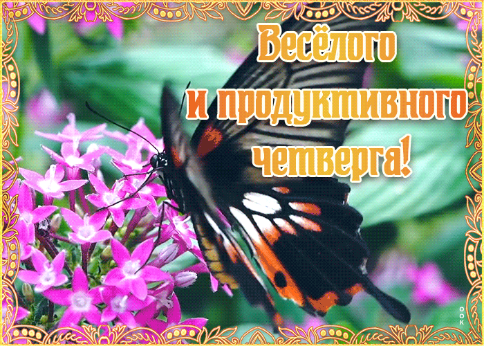 Картинка открытка веселого четверга