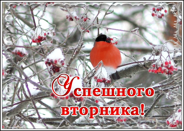 Открытка открытка яркого вторника
