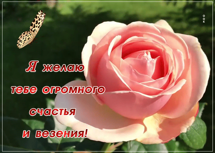 Картинка открытка желаю тебе счастья