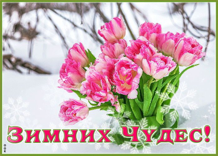 Открытка открытка зимних чудес