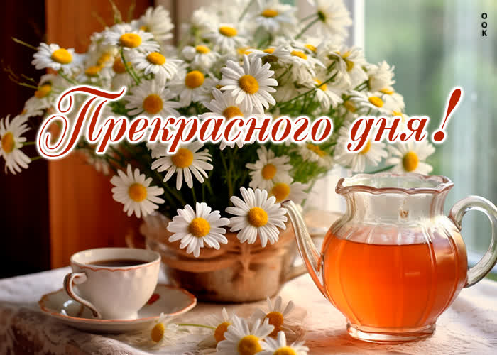 Postcard отлично выполненная открытка с ромашками прекрасного дня!