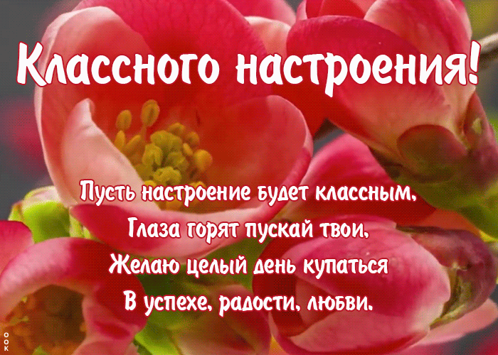 Открытка плейкаст классного настроения