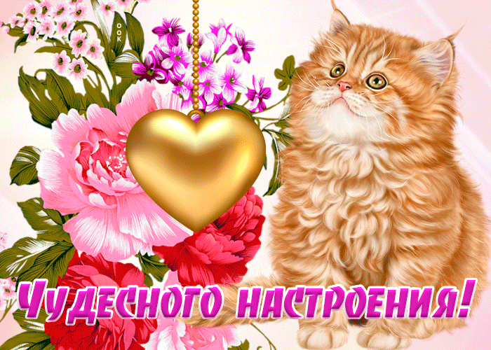 Картинка положительная картинка для настроения
