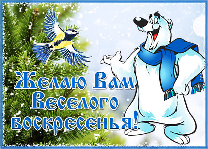 Картинка потешная открытка с воскресеньем