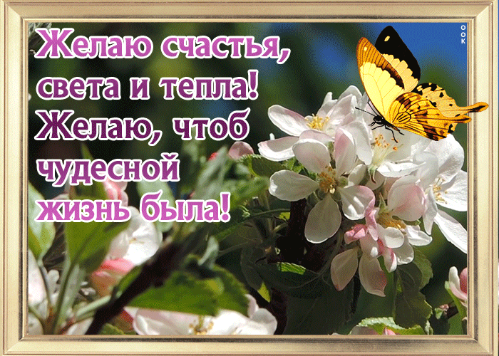 Открытка потрясающая открытка с пожеланием