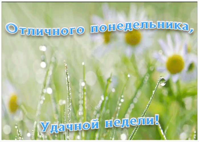 Открытка пожелание отличного понедельника и удачной недели