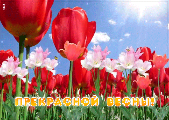 Картинка пожелание прекрасной весны