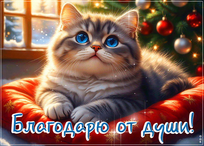 Postcard позитивная открытка, большое спасибо тебе