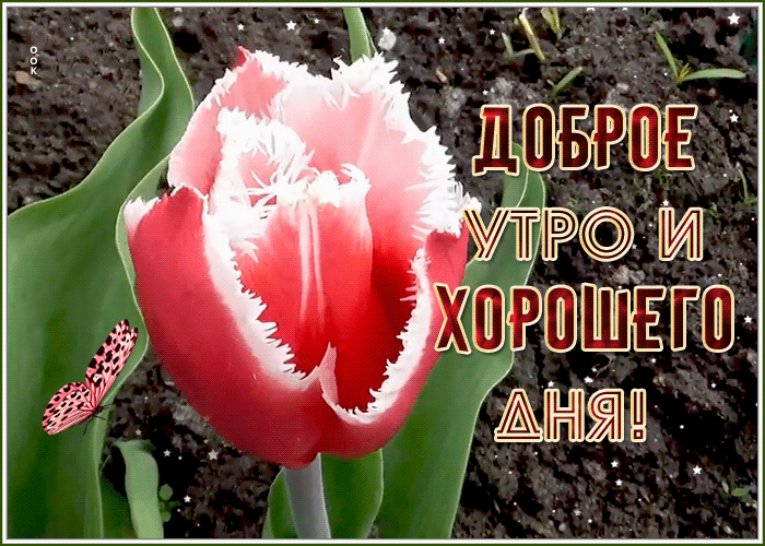 Открытка позитивная открытка доброе утро