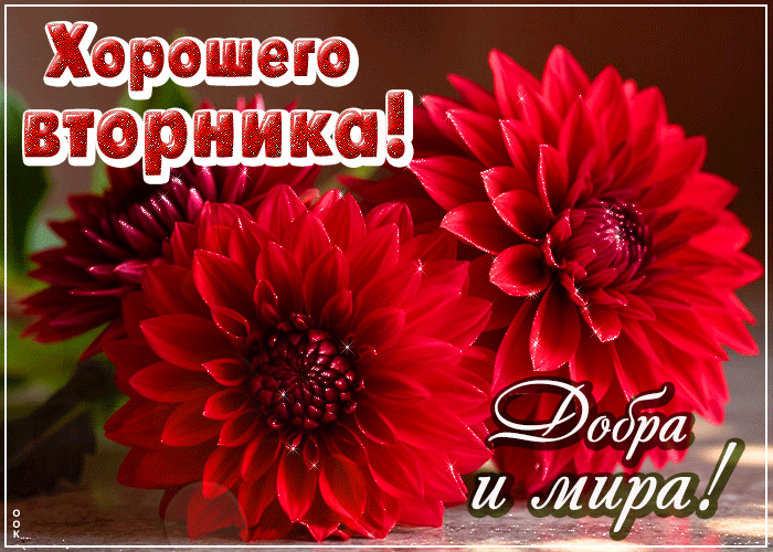 Picture позитивная открытка, отличного вторника!