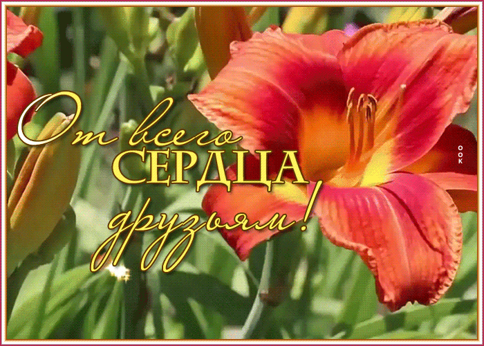 Картинка позитивная открытка спасибо за дружбу