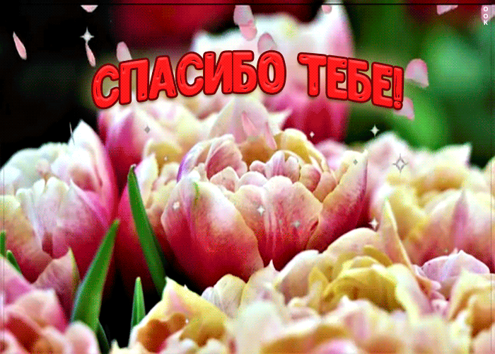 Открытка прекрасная анимация спасибо
