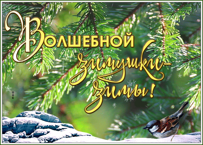 Открытка прекрасная открытка волшебной зимы