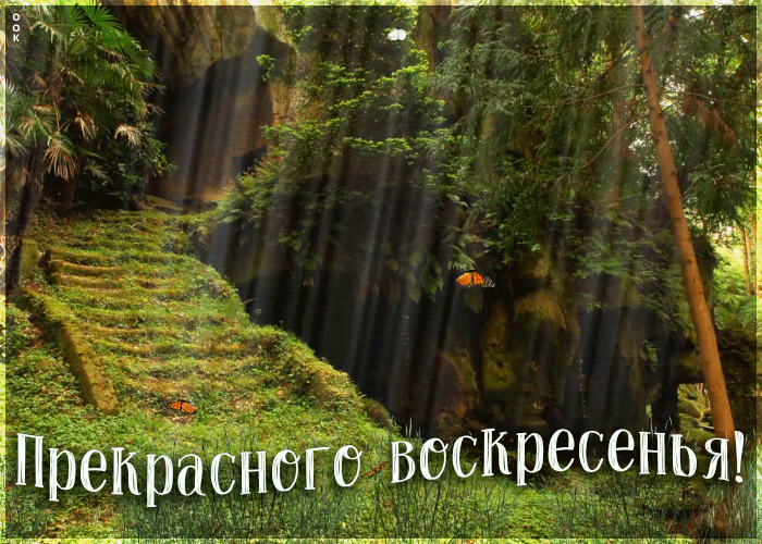 Открытка прекрасного воскресного дня