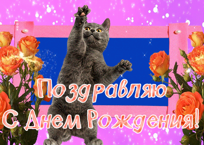 Картинка прикольная открытка с днем рождения с котиком
