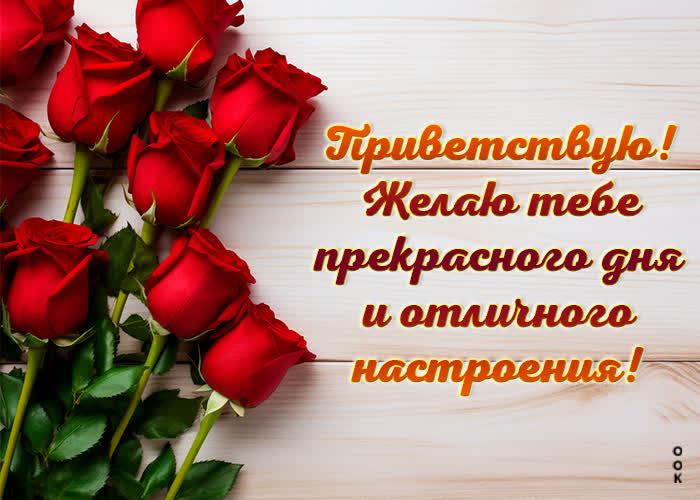 Postcard приветствую! желаю тебе прекрасного дня и отличного настроения