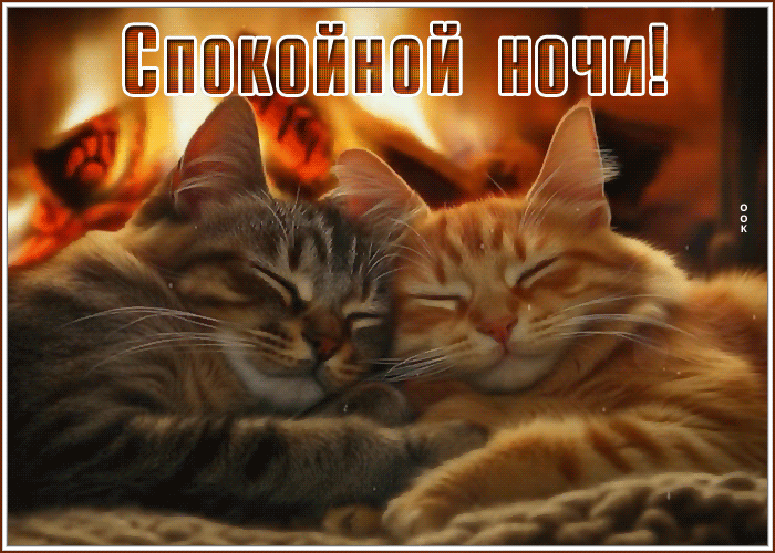 Picture приятная гиф-открытка, добрых снов от котиков