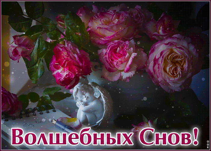 Postcard приятная гиф-открытка , волшебных снов