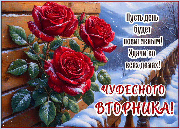 Postcard приятная картинка, доброго и тёплого вторника