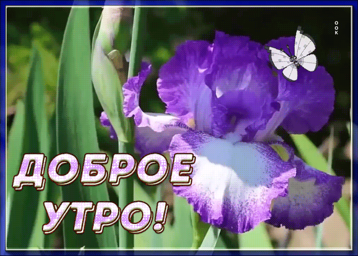 Открытка приятная открытка доброе утро