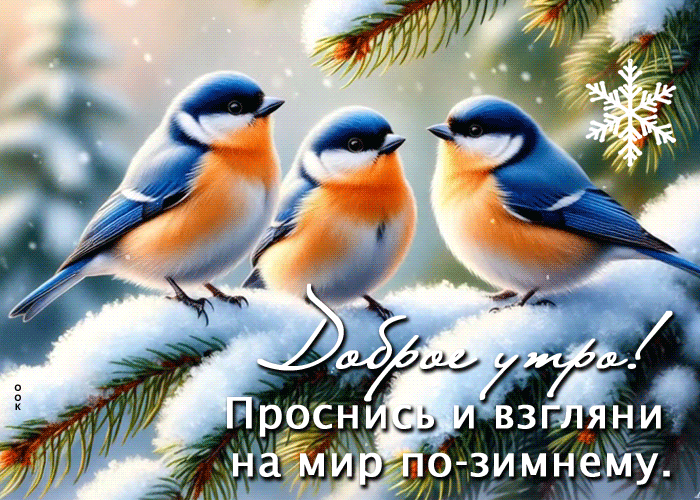 Picture проснись и взгяни на мир по-зимнему