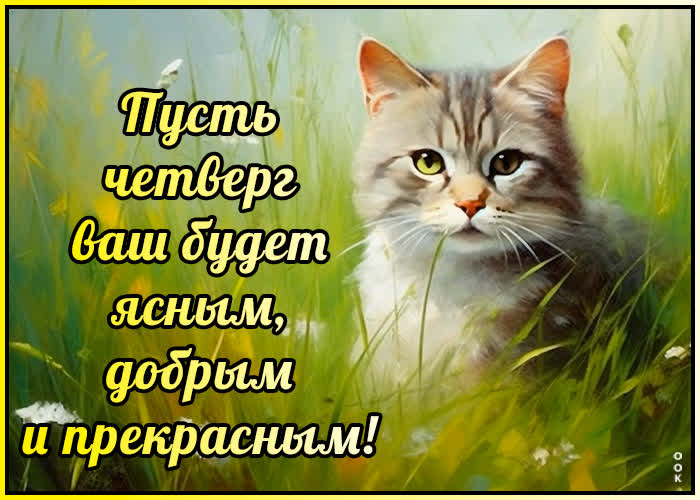 Postcard пусть четверг ваш будет ясным, добрым и прекрасным!