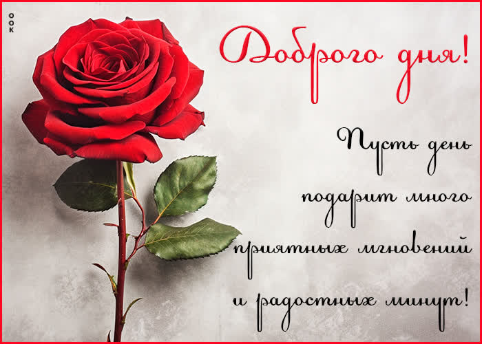Postcard пусть день подарит много приятных мгновений и радостных минут