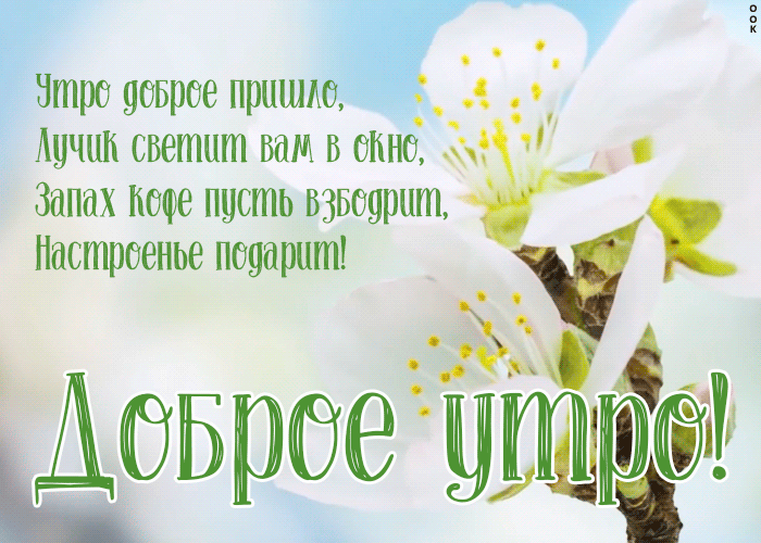 Картинка пусть это доброе утро подарит настроение