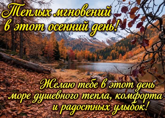 Postcard пусть это прохладное осеннее утро начнётся спокойно