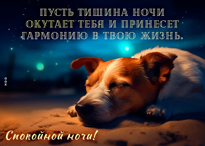 Picture пусть тишина ночи окутает тебя и принесет гармонию в твою жизнь!