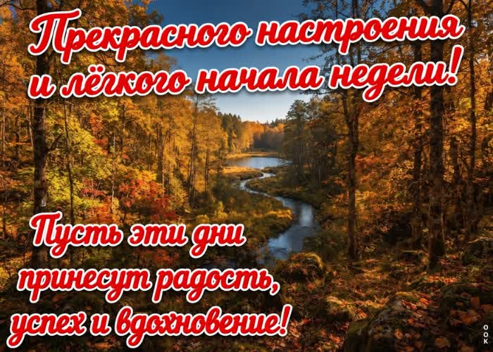 Picture с вами осень становится ещё красивее!