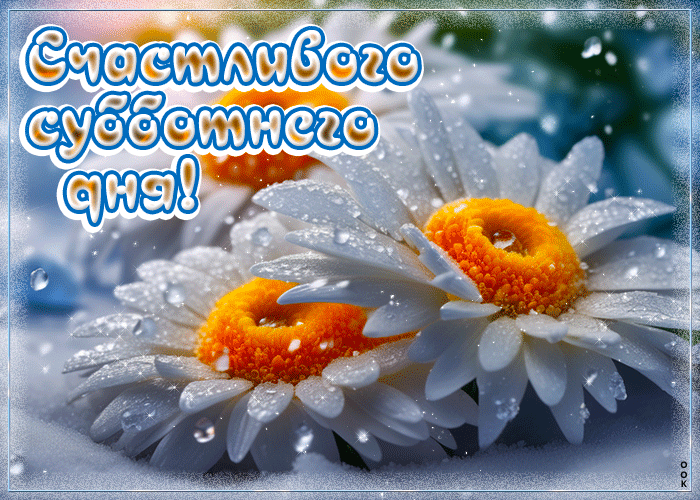 Picture счастливого субботнего дня