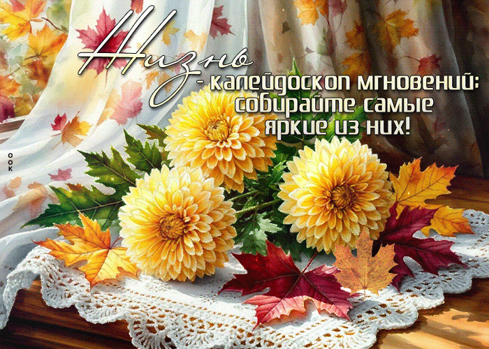 Postcard сердечная гиф-открытка, собирайте только яркие моменты своей жизни
